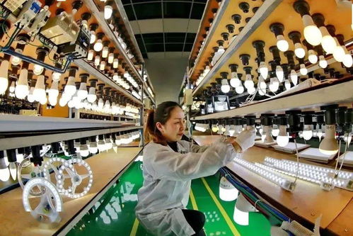 出口退税政策激活外向经济新动能 遂宁经开区贸易代理服务升级观察